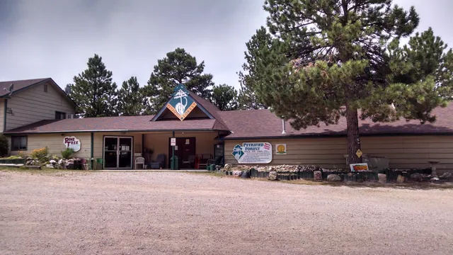 Petrified Forest of the Black Hills-Elk Creek Resort