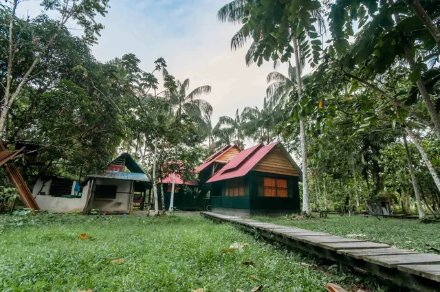 Amazon Experience Hostel