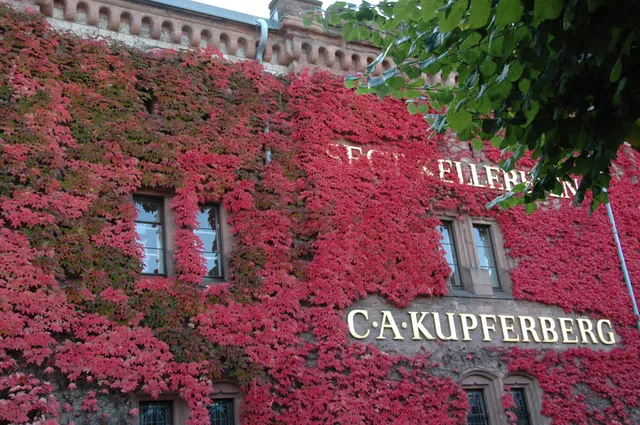 Kupferberg Mainz – Eventlocation & Sektkellerei