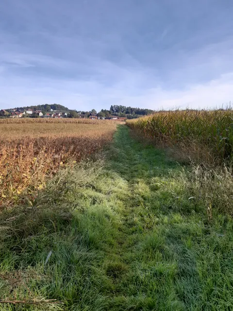 Haus im Grünen - Ferienwohnungen Sabine Bauer