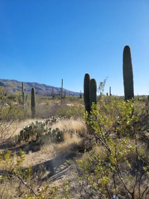 Douglas Spring Trail