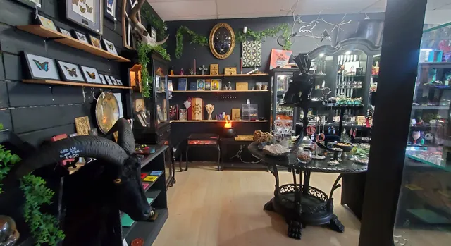 Skellington Curiosities