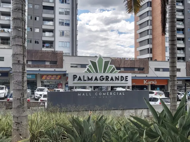 Palmagrande Mall Comercial