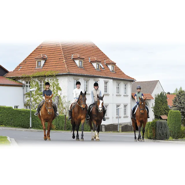 Ferienhof Struther Tor