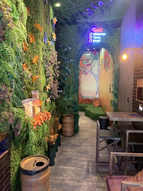 Terra Brasil Açai Tatuapé