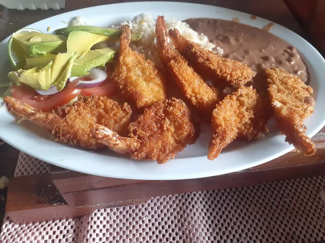 Large Coast of Guerrero