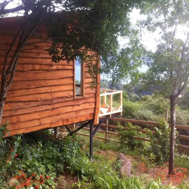 CABAÑAS ALTO BELLAVISTA NIEBLA