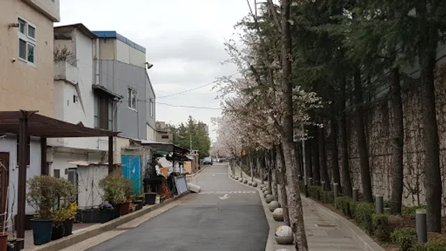 개코막걸리식당