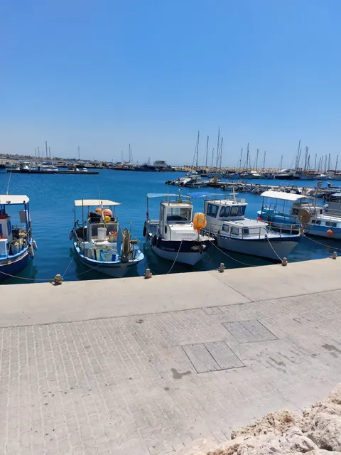 Danit apartment by the sea