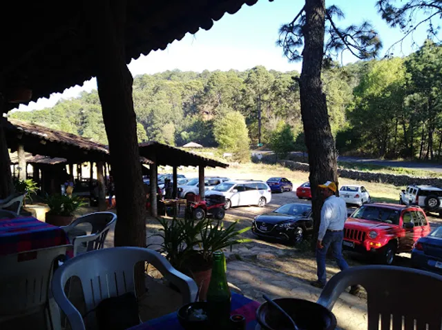 El Árbol de La Culebra