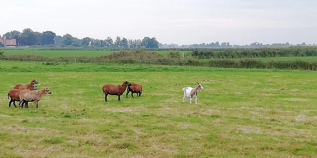 Ferienhaus Seeschwalbe