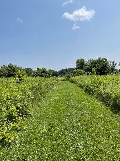 Joseph Steinen Wildlife Area