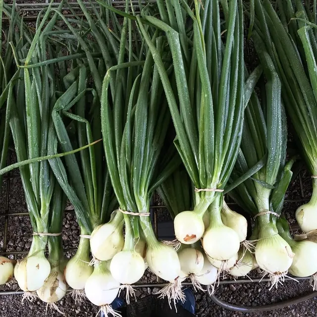 Broadview Farm and Gardens