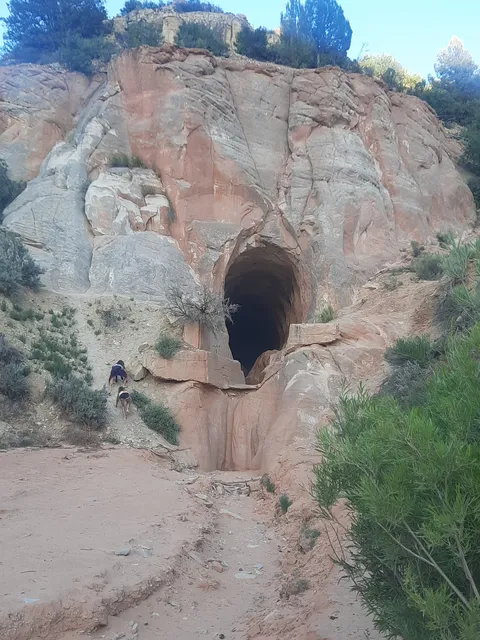 Twin hollows campground