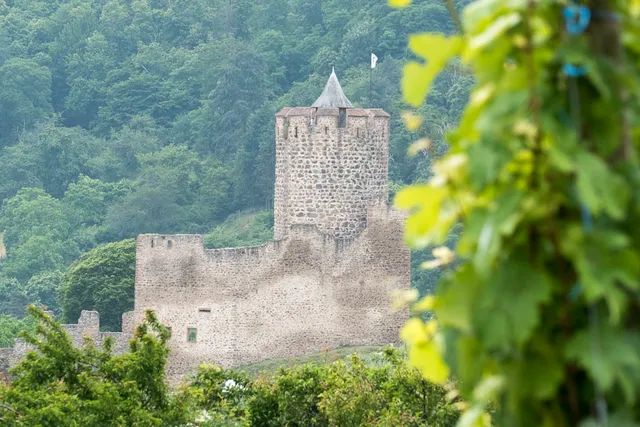 Auberge de l'Etang du Devin