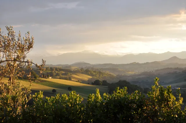 Mille Querce Società Agricola Srl