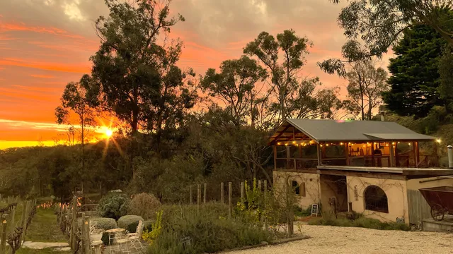 Between the Vines Cellar Door