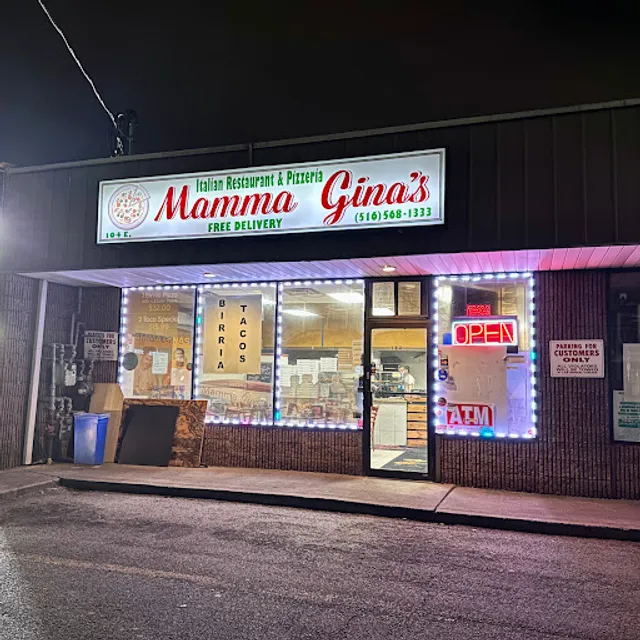 Mamma Gina's Pizzeria and Grill