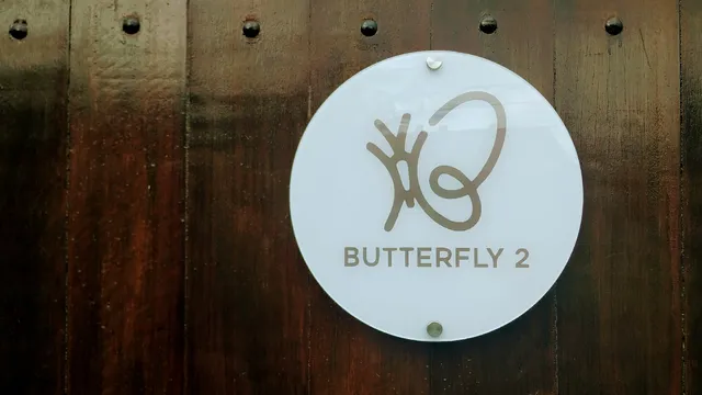 Butterfly2