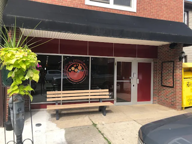 Essential Fermentation