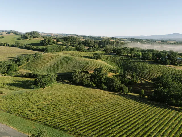 Harper's Rest Winery