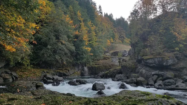 Elwha Dam Trailhead
