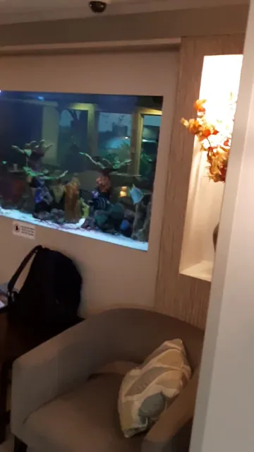 Quality Inn Miami Airport - Doral