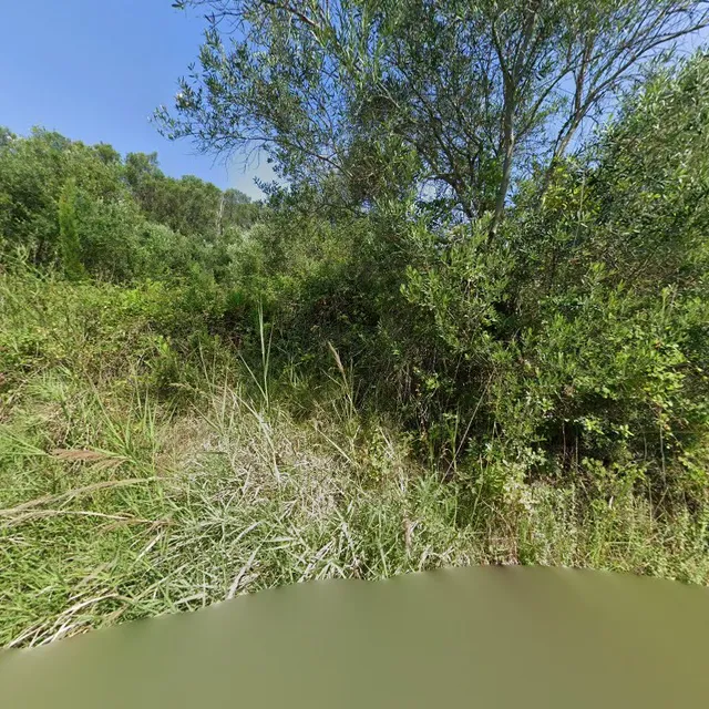 Pelekas Olive Grove Oasis