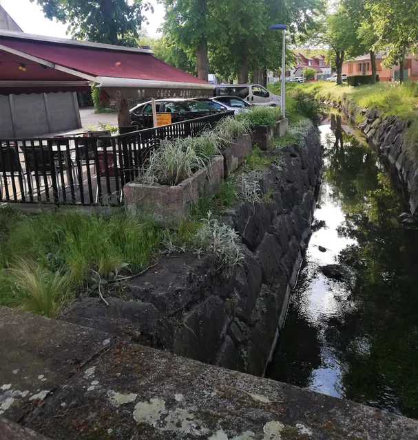 Entre Ried et Rhin, gîte familial en Alsace 9 personnes
