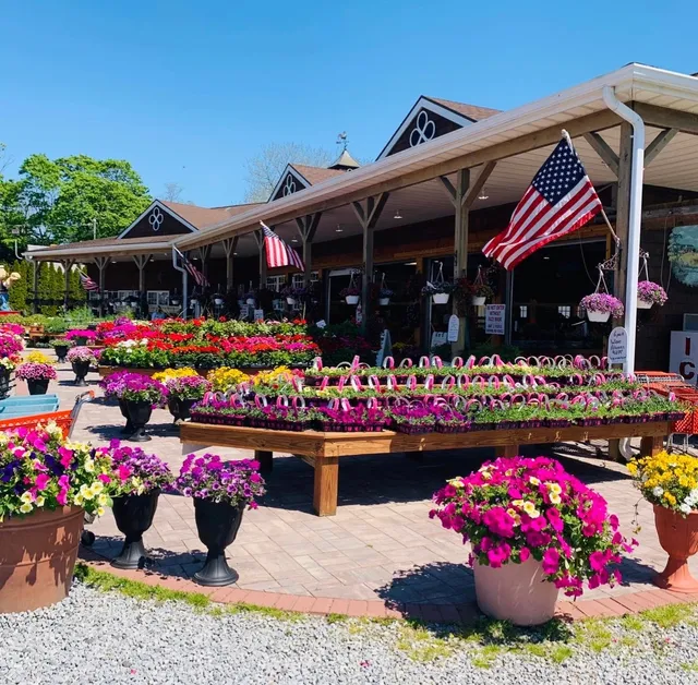 Bayview Market & Farms