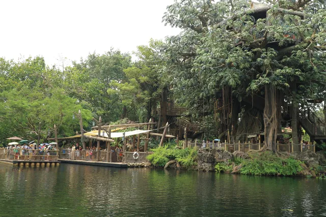 Rafts to Tarzan's Treehouse