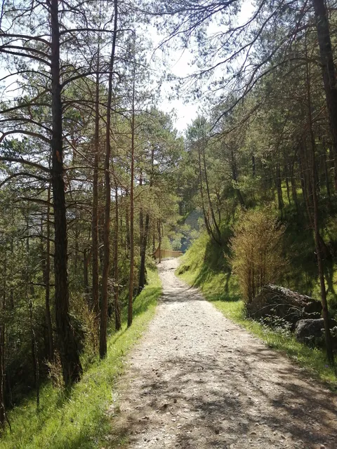 Via del Nicolau (accés sud)