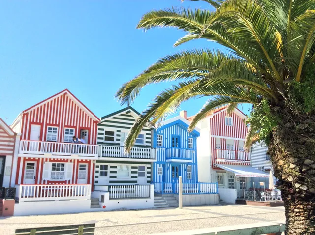 Aveiro House - Ria • Moliceiros • Salinas View Hotel