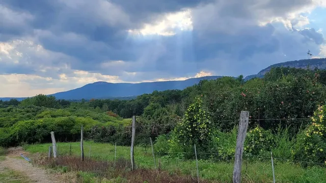 Jenkins - Lueken Orchards