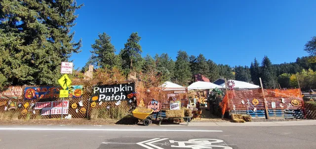 J P Total Lawn & Property