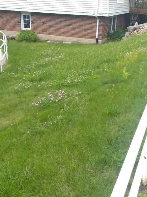 Vernon Housing Authority