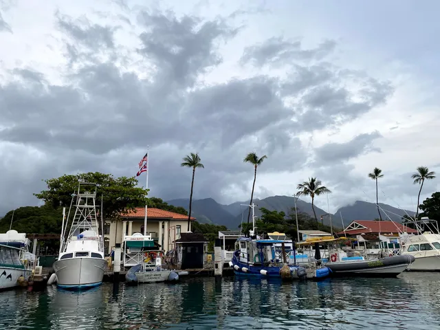 🏵️zpot Lahaina Harbor