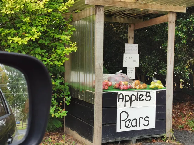 Windmill Orchards Ltd