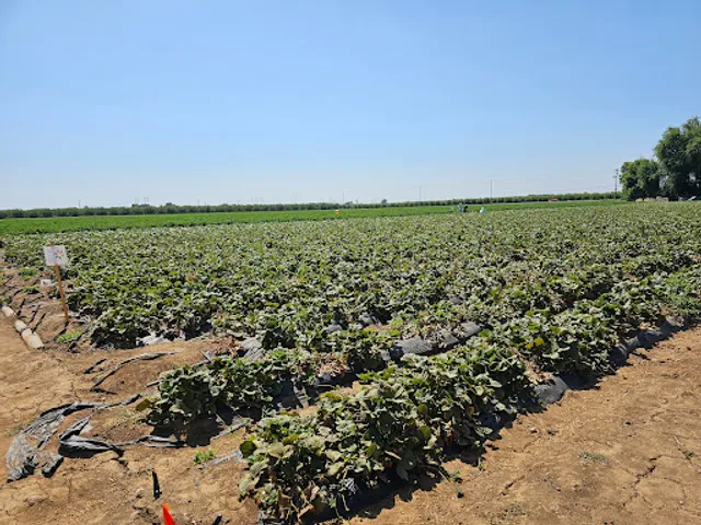 Creswell Family Farms