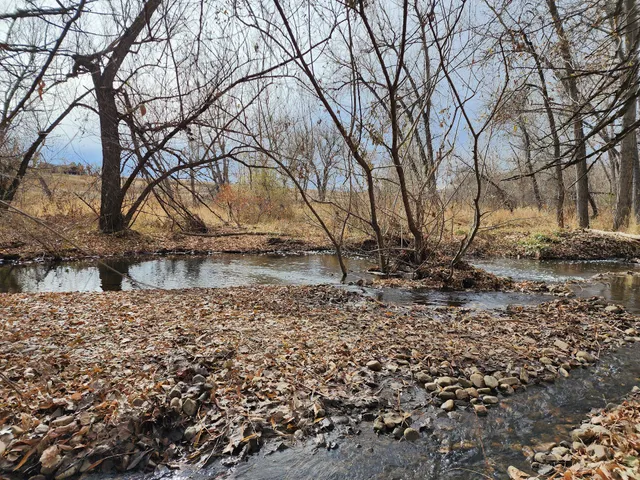 Coal Creek Corridor Open Space