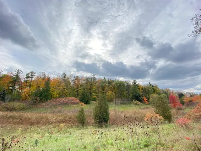 Arbourview Playground