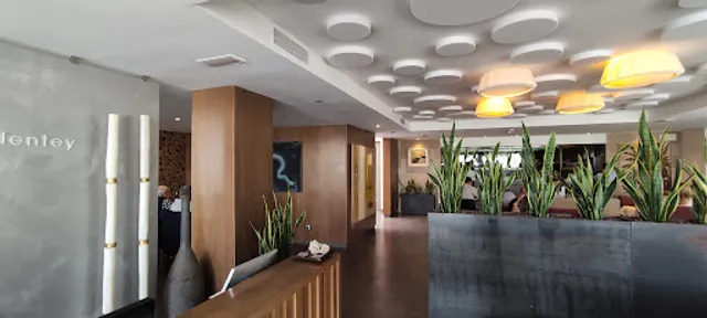 Bartomeu Food & Freedom