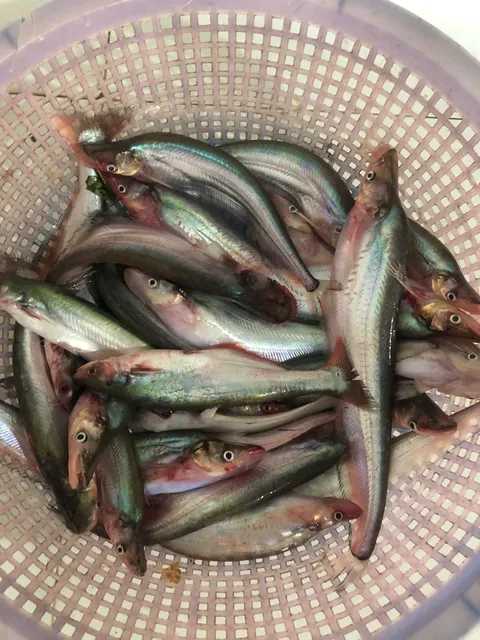 Hỷ thiên ngân ( bến đò bùng binh)