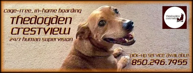 The Dog Den Crestview