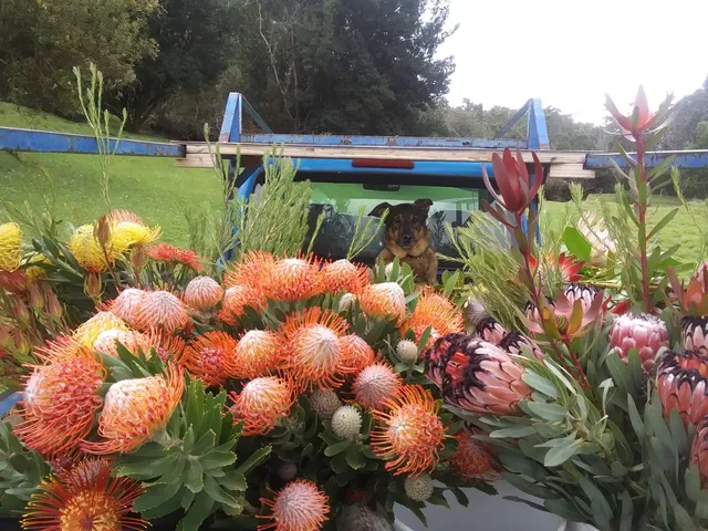 Maui Tropical Flowers