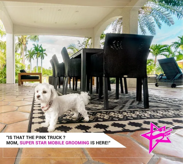 Super Star Mobile Grooming