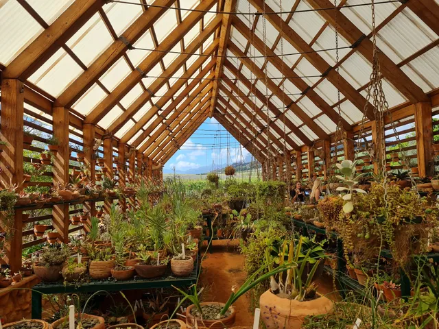 Babylonstoren Wine Estate