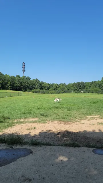 Deer Lick Dog Park