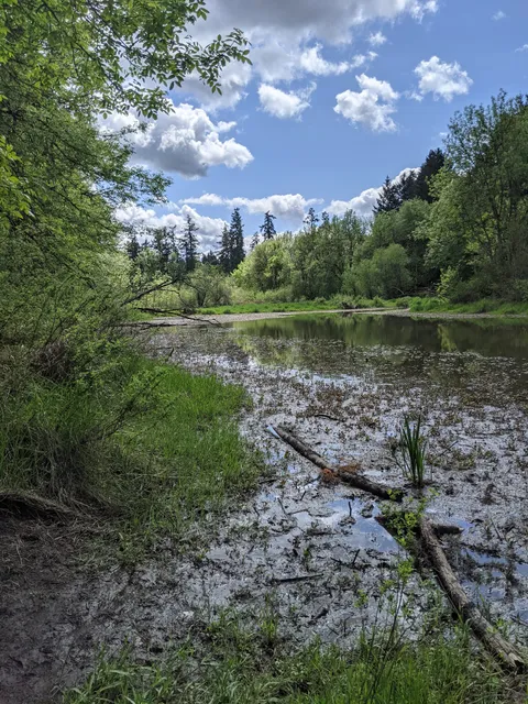 Beaverton Creek Wetlands Natural Area