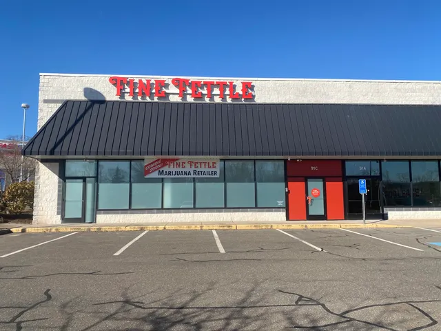 Fine Fettle - Manchester Dispensary